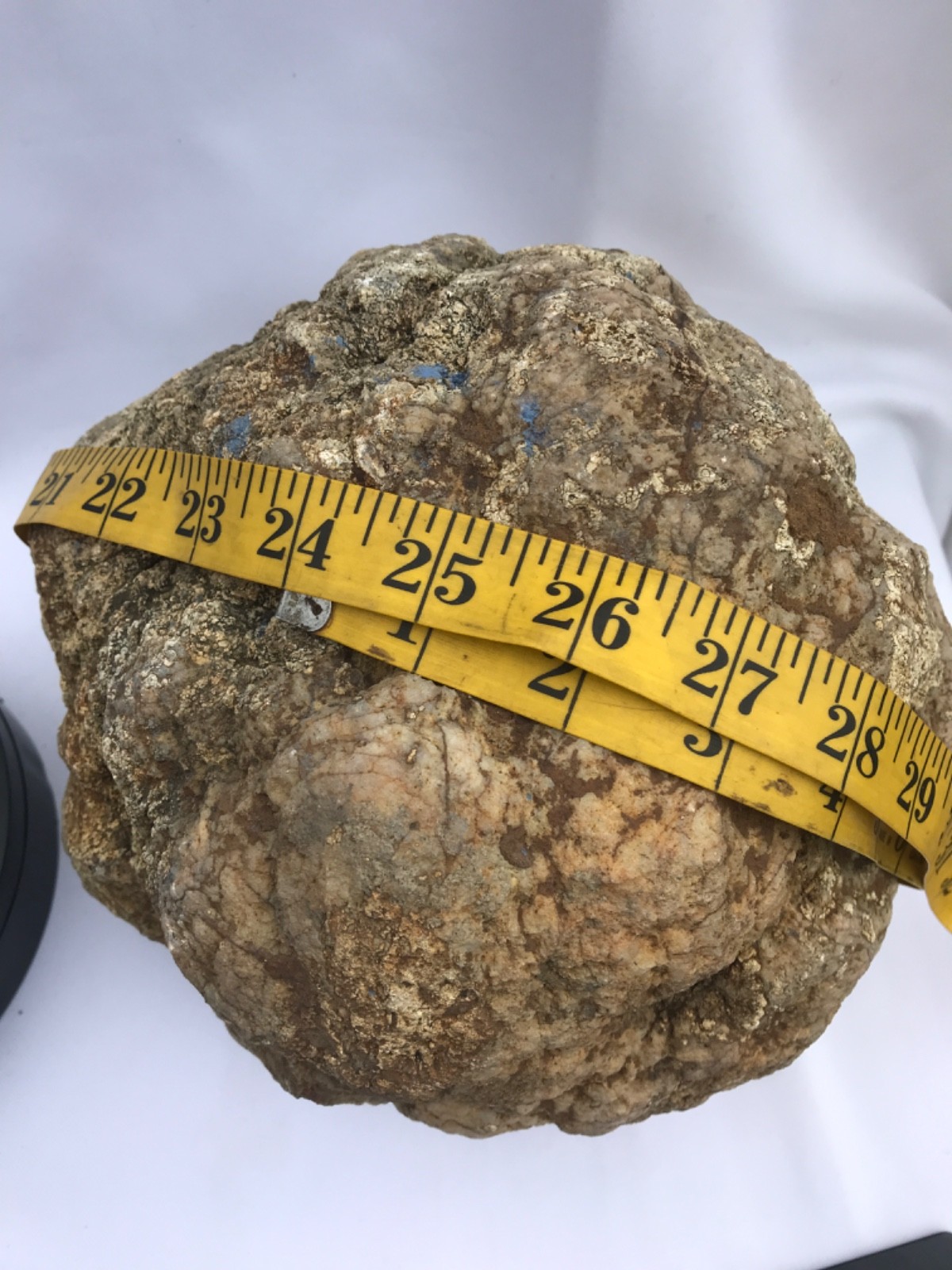 Rare Kentucky Geode Rattler 23.36 lb Unopened Natural Quartz Crack Your Own
