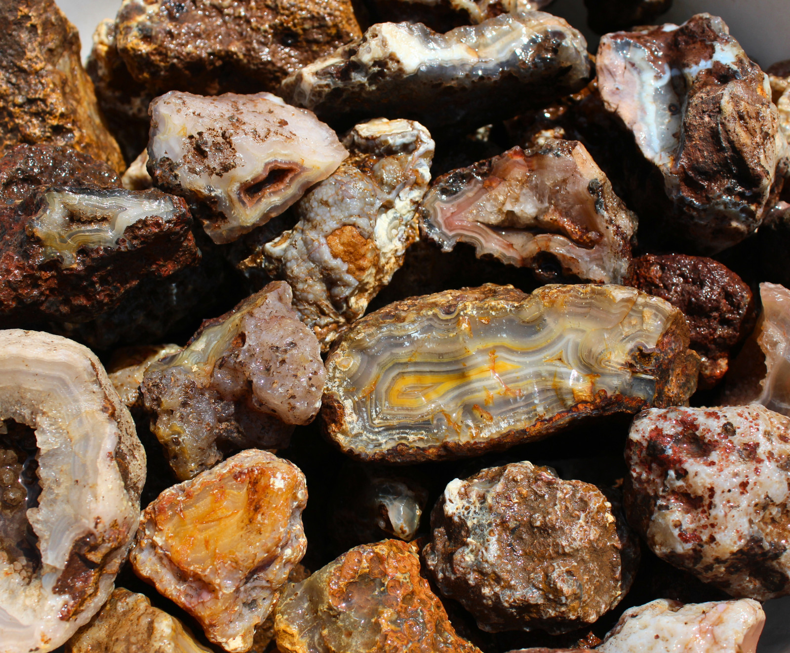 Picacho Agate Nodules – Rough Rocks for Lapidary/Cabochon – Bulk Wholesale