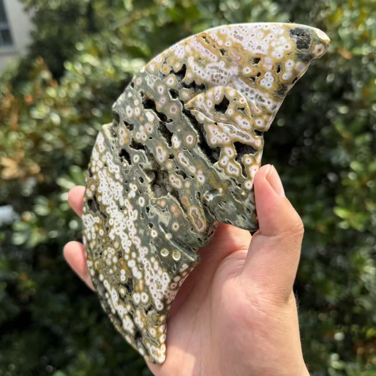 410g Natural 8th Vein Ocean Jasper Crescent Moon Face Crystal Specimen Decor