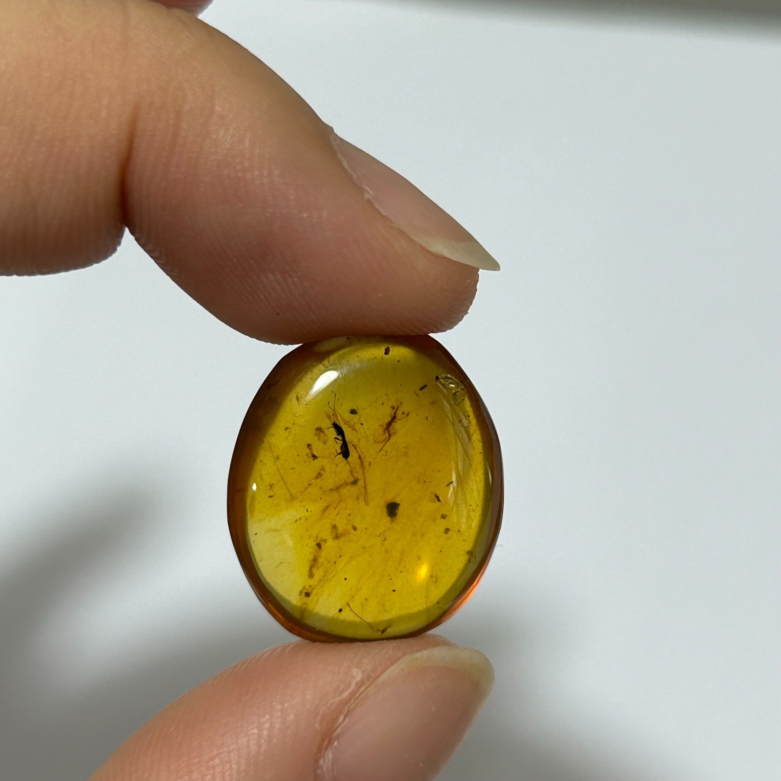 6PCS MINI GENUINE Fossil Insect Inclusion in Burmese amber BALTIC AMBER