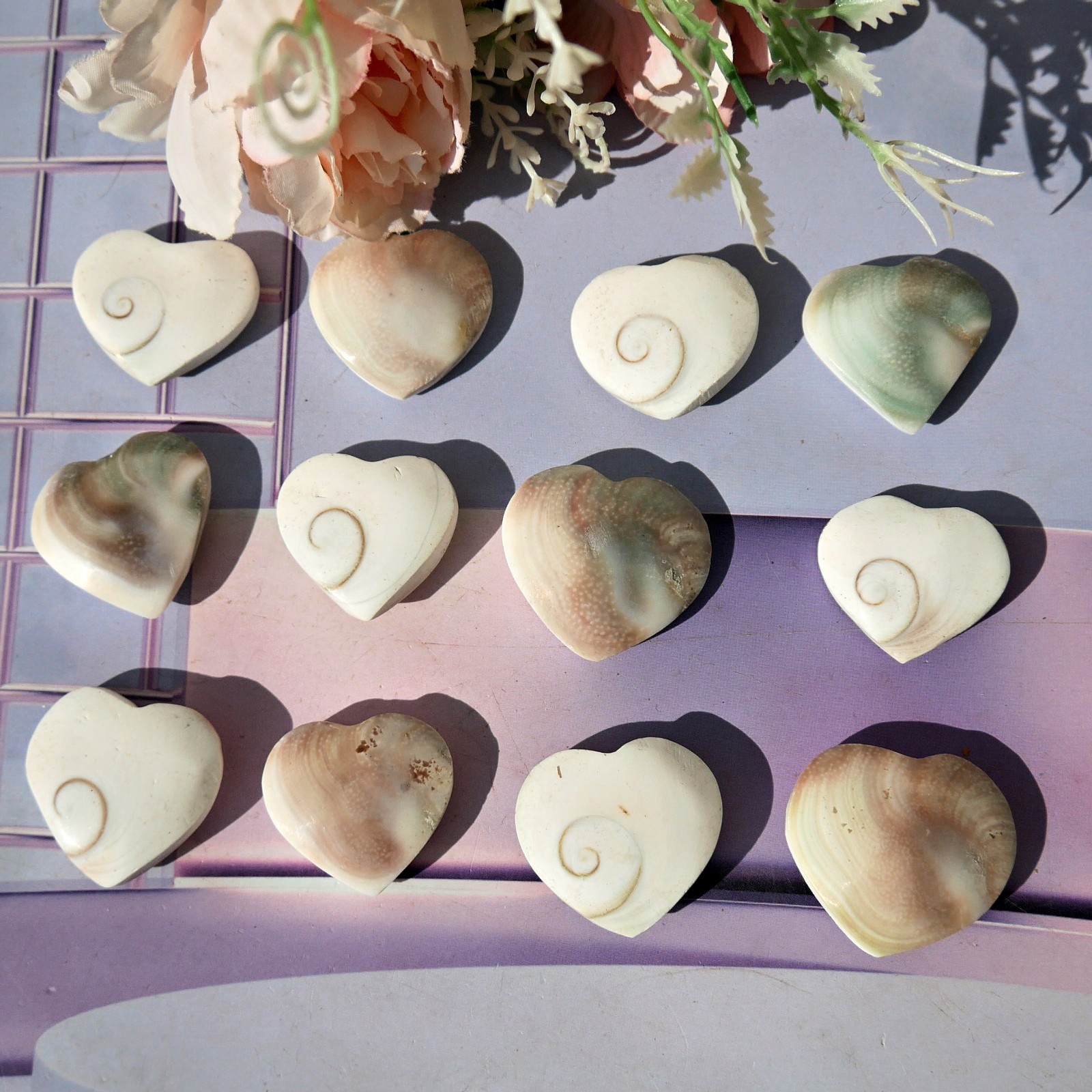 12 Pcs Natural Sea Shell Heart 1-1.5″ Bulk Lot Ocean Healing Crystal Love Stone