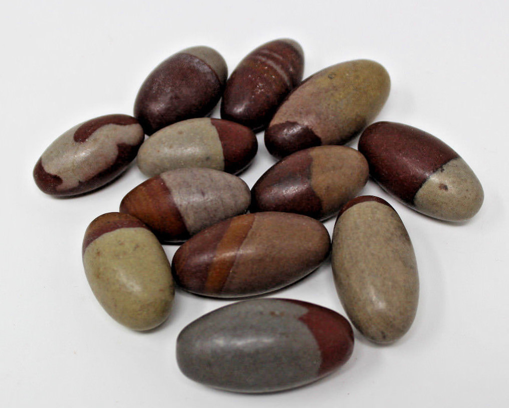 Lot of 10 Shiva Lingam Stones Medium 1.5 – 2″ Narmada River India Shiva Lingham