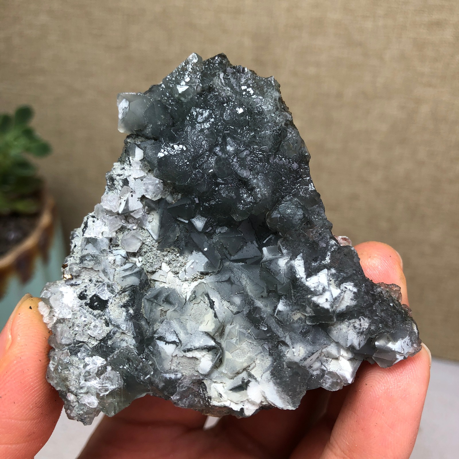 78g NATURAL Green Cubic FLUORITE Crystal Cluster Mineral Specimen A4734