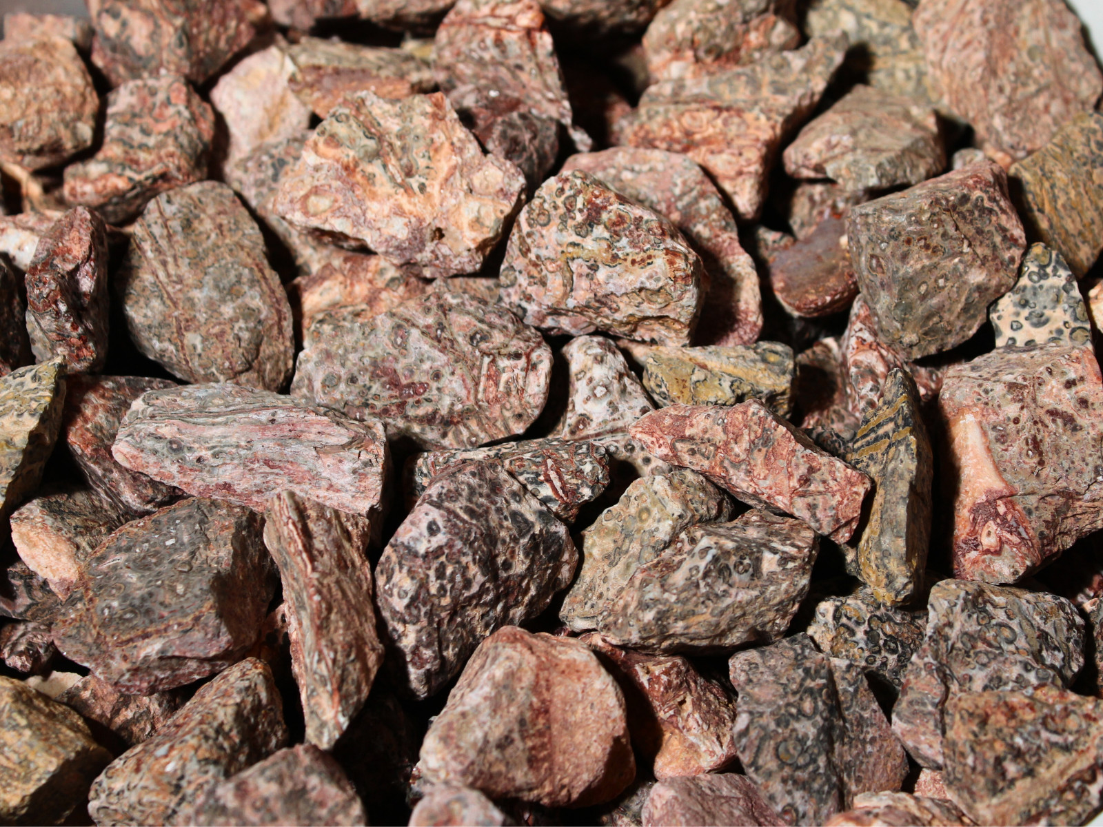 Leopard Skin Jasper – Rough Rocks for Tumbling – Bulk Wholesale options