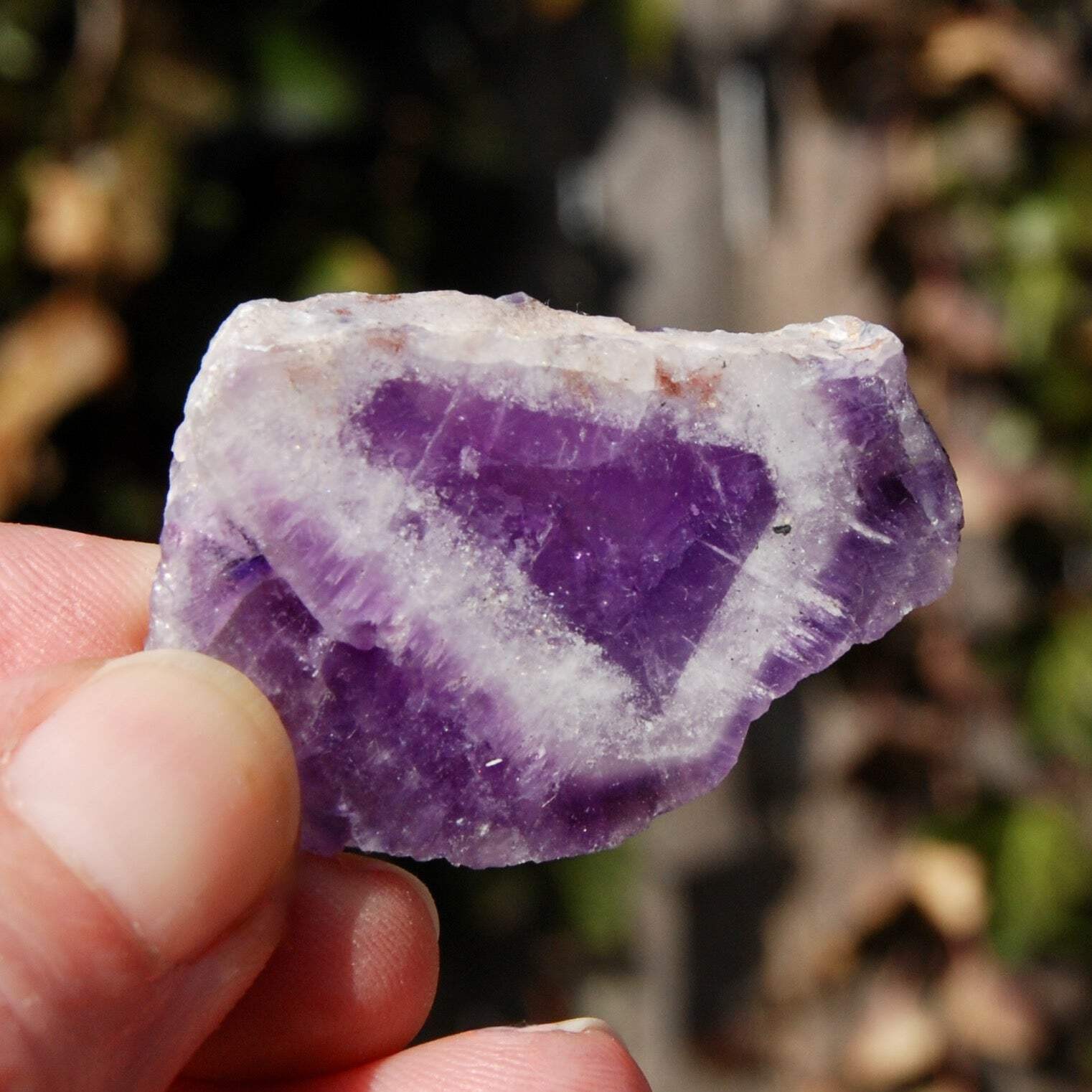 1.5″ Chevron Amethyst Trapiche Quartz Crystal Slice, Zambia ca18
