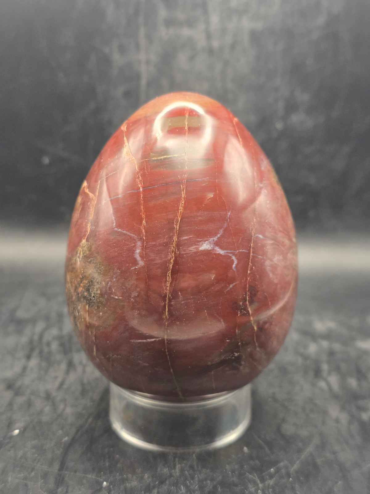 Petrified wood egg! 1.4 pounds! 3.5 inches tall, 2.7″ wide
