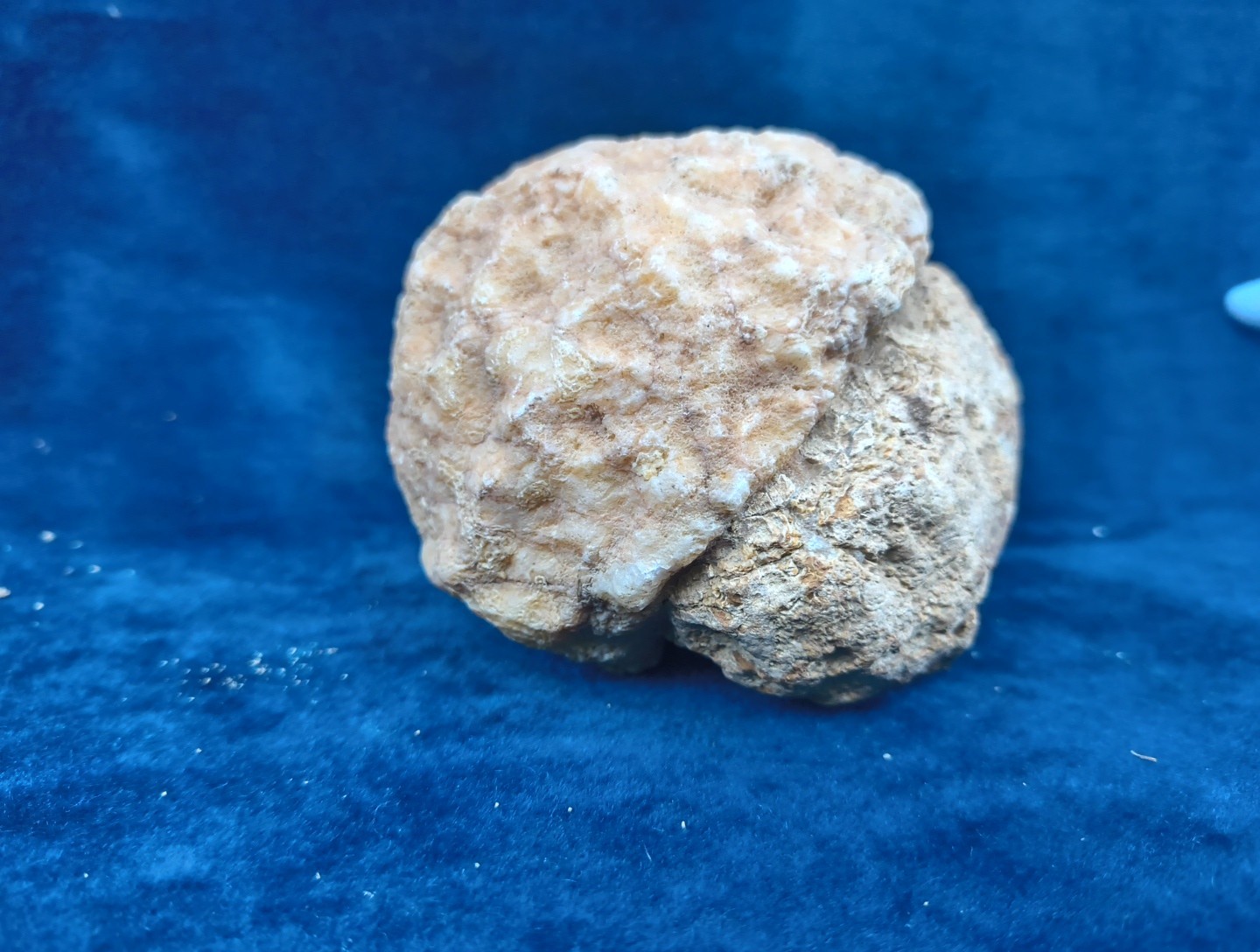 Large Kentucky Geode 3–5 inch – Crack Open Giant Quartz Crystal Rock – Authentic