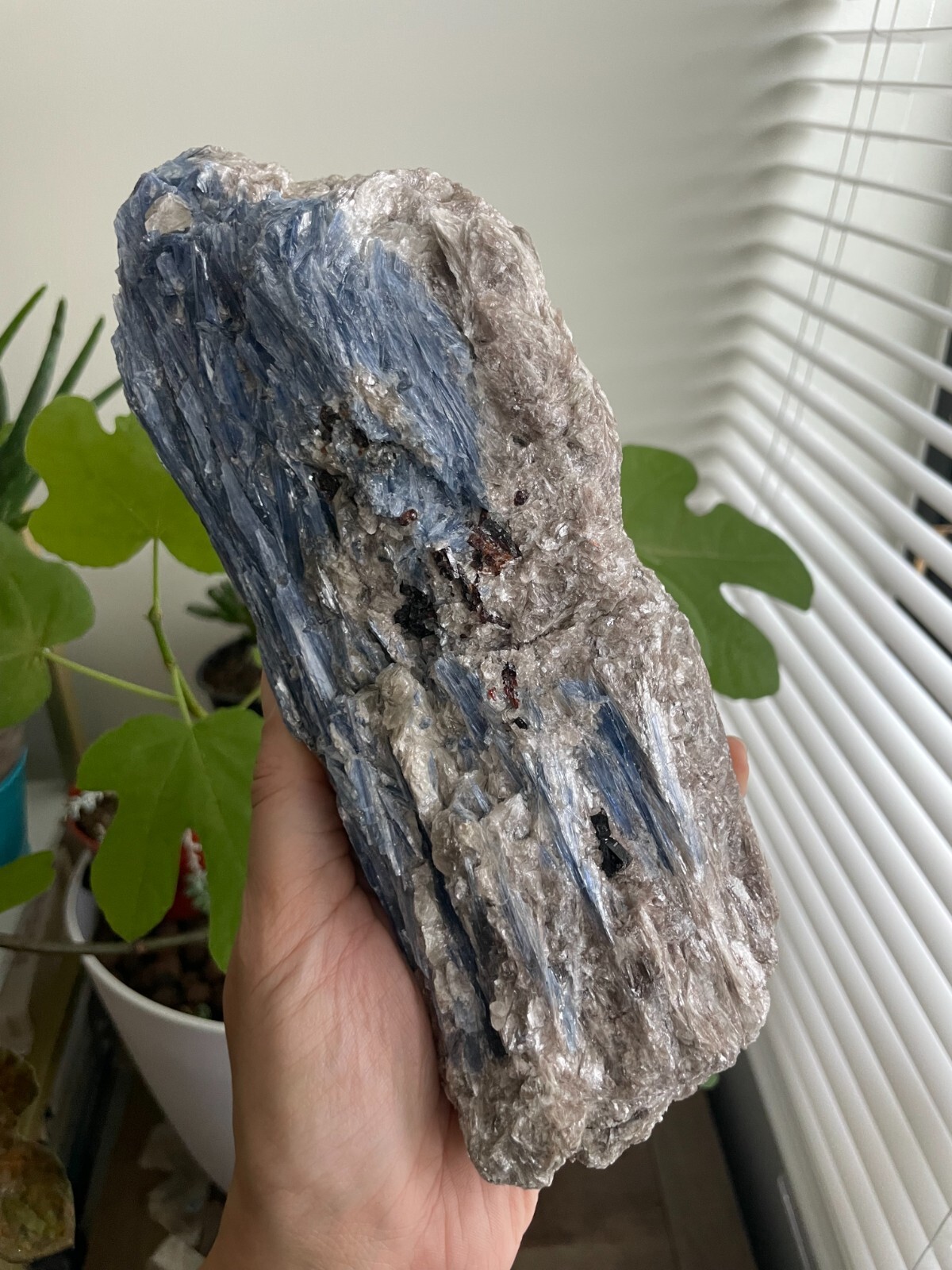Raw Blue Kyanite Log with Garnet, LARGE, approx. 8.25″ long & 1346 grams