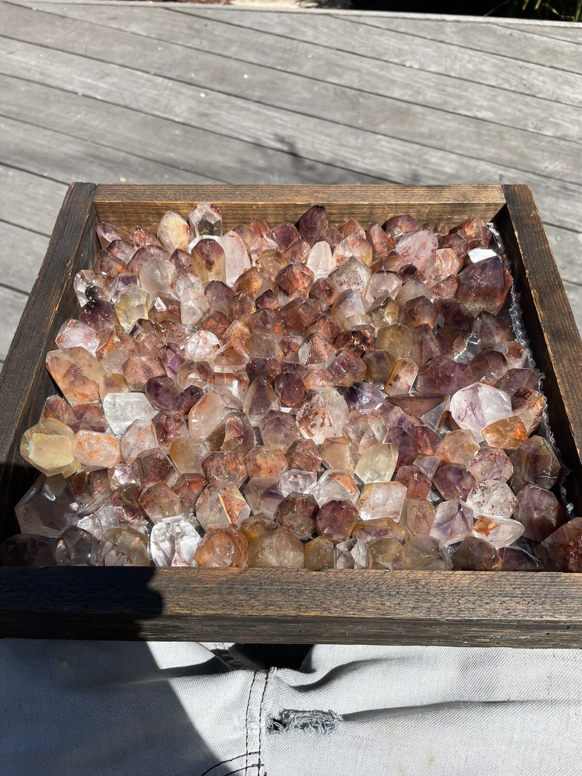 10 pieces Dream Coat Amethyst, Citrine & Iron Included Quartz Brazil(10pcs)
