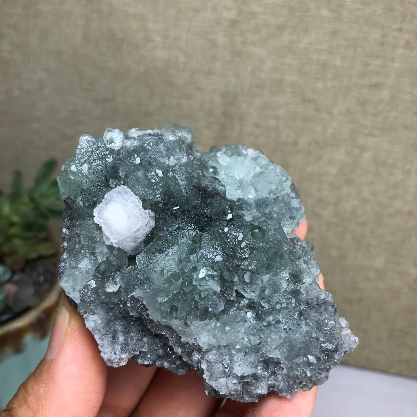 141g NATURAL Green Cubic FLUORITE paragenesis Crystal Cluster Specimen A4783