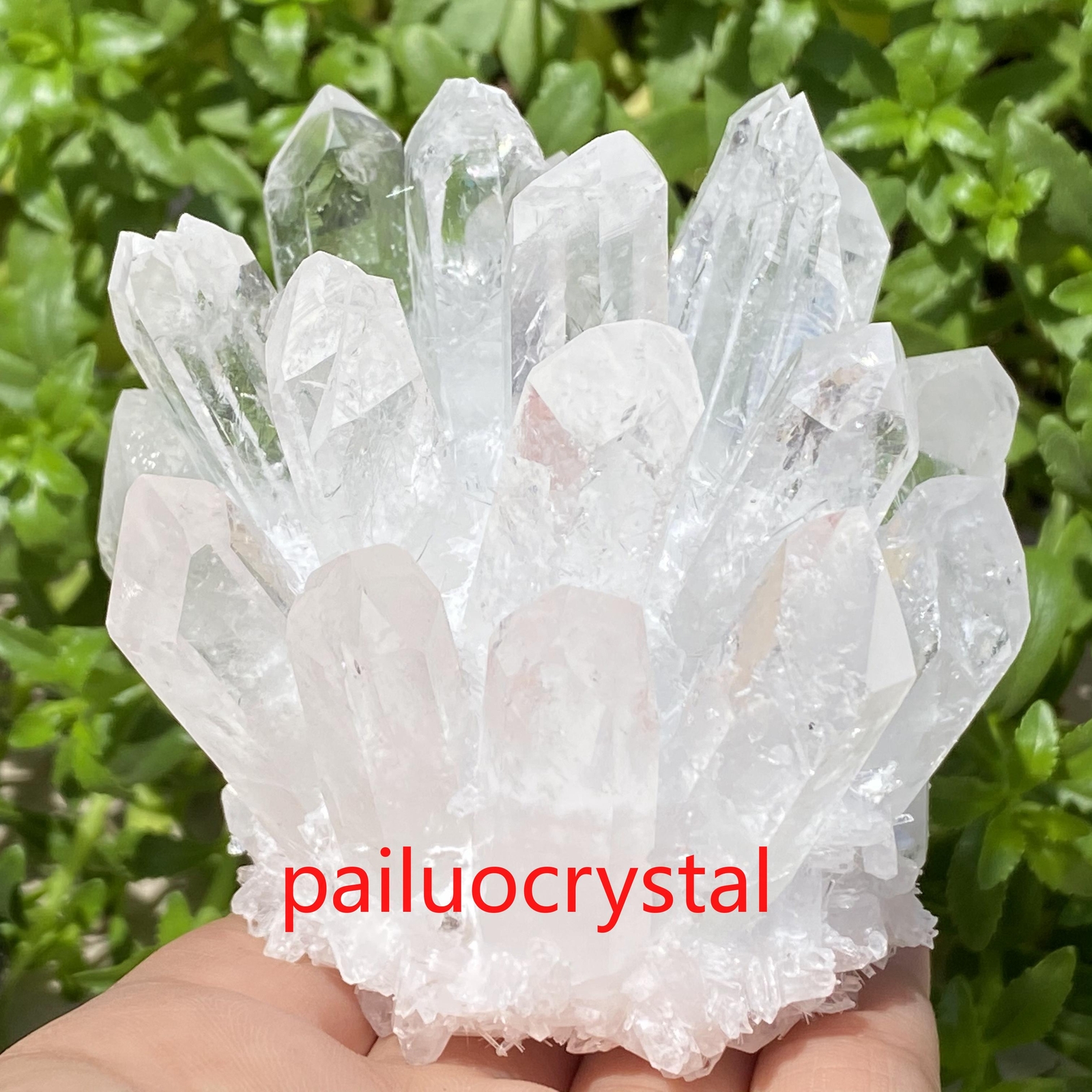 300g+ Natural Clear Quartz Cluster Crystal Cluster Specimens Gem Random delivery