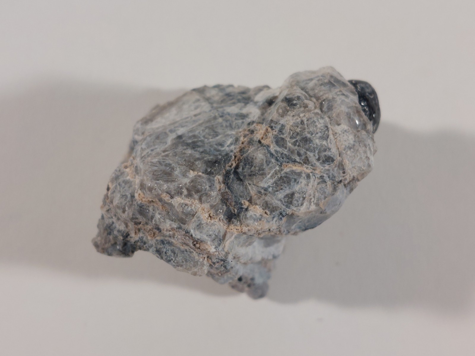Multiple Apache Tear Obsidian Stone encased in a 130g natural matrix of pearlite