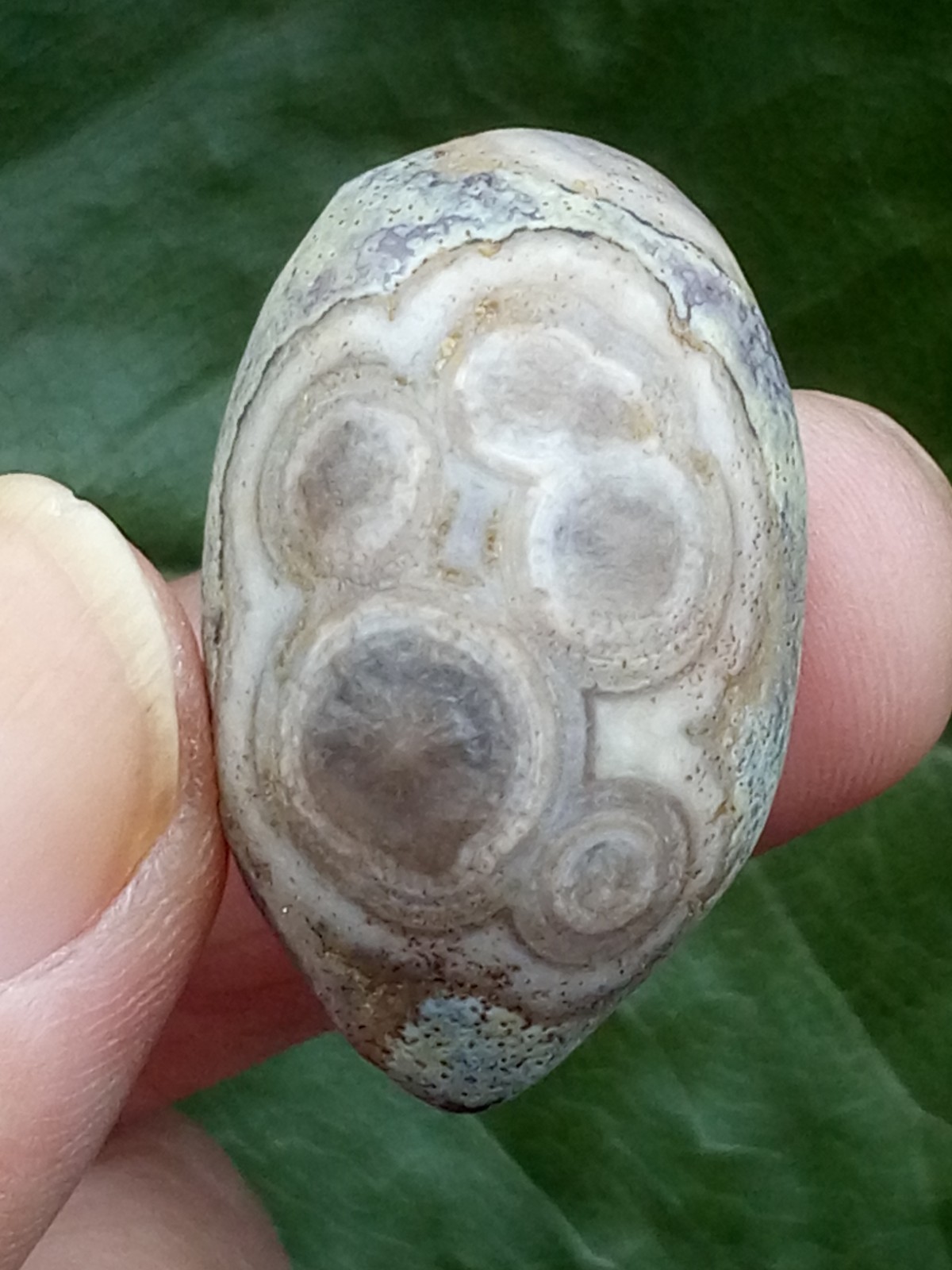 33mm Beautiful Natural Gobi agate eye agate collection Landscape stone