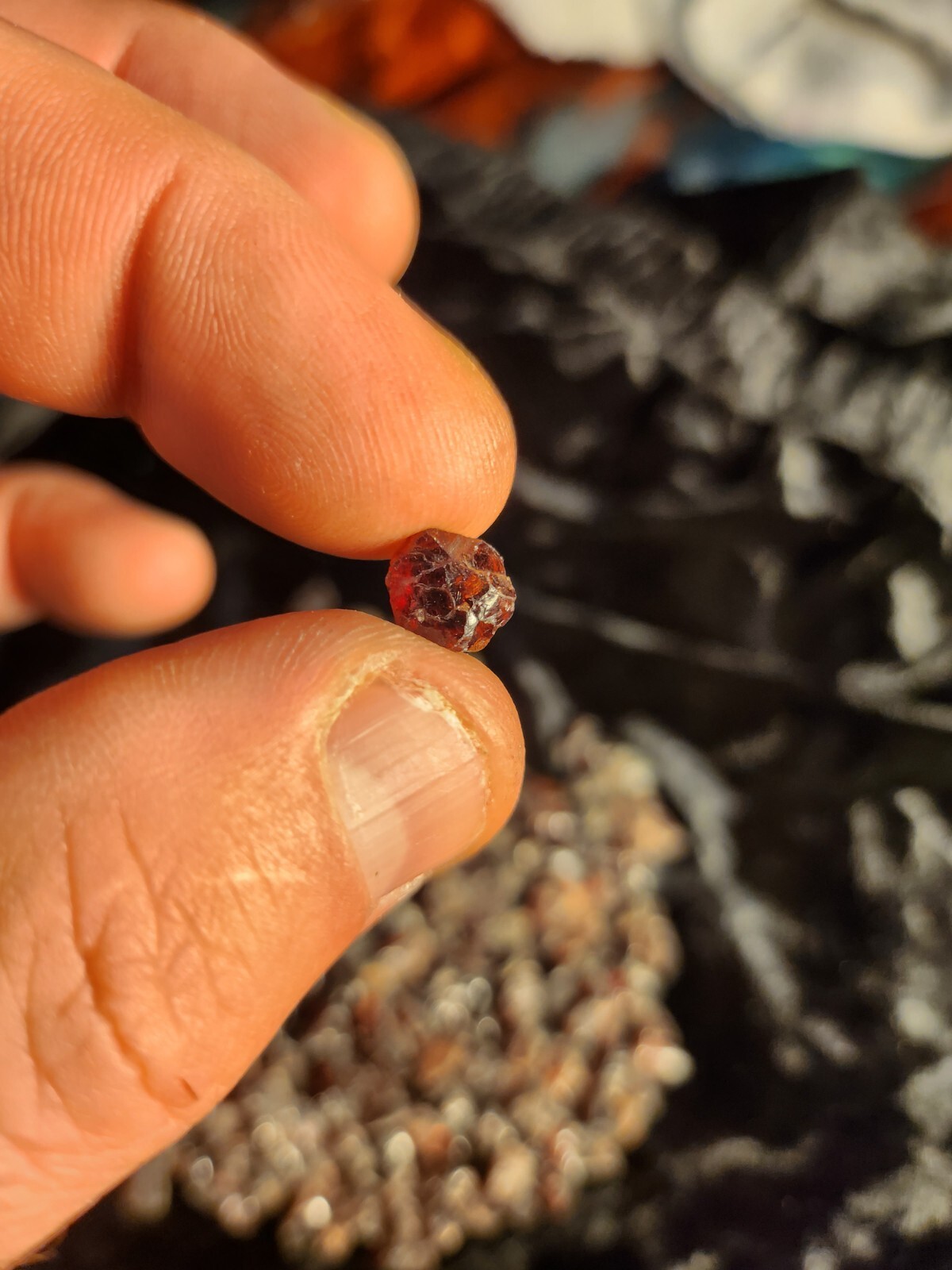 100% Natural RED Garnet Gems Rough Stone Mineral Specimen 200grams/ 1000 cts
