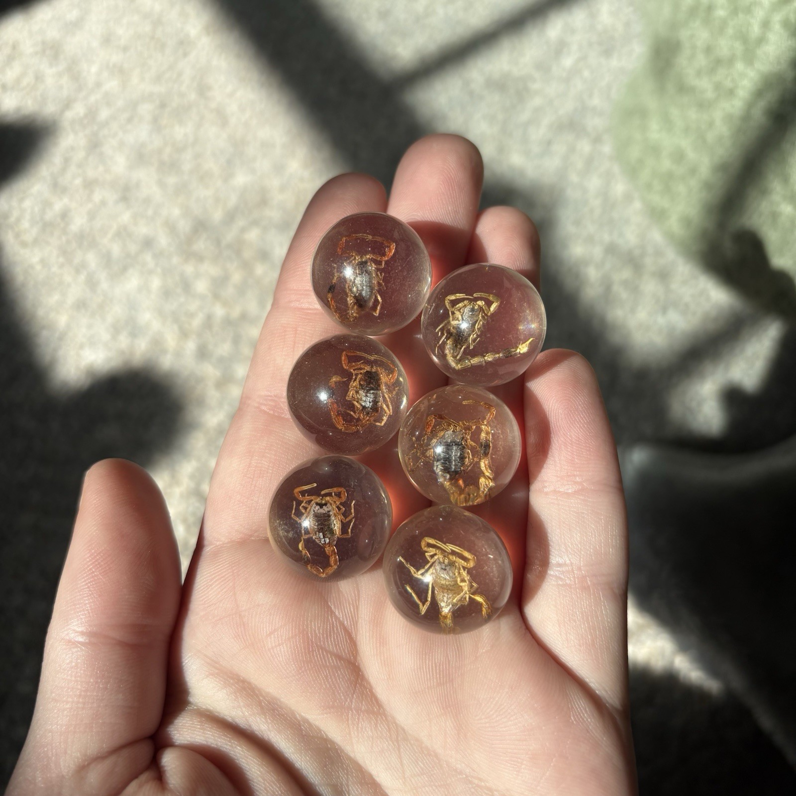 Scorpion In Resin Sphere Bulk Lot Of 6pcs Crystal Ball