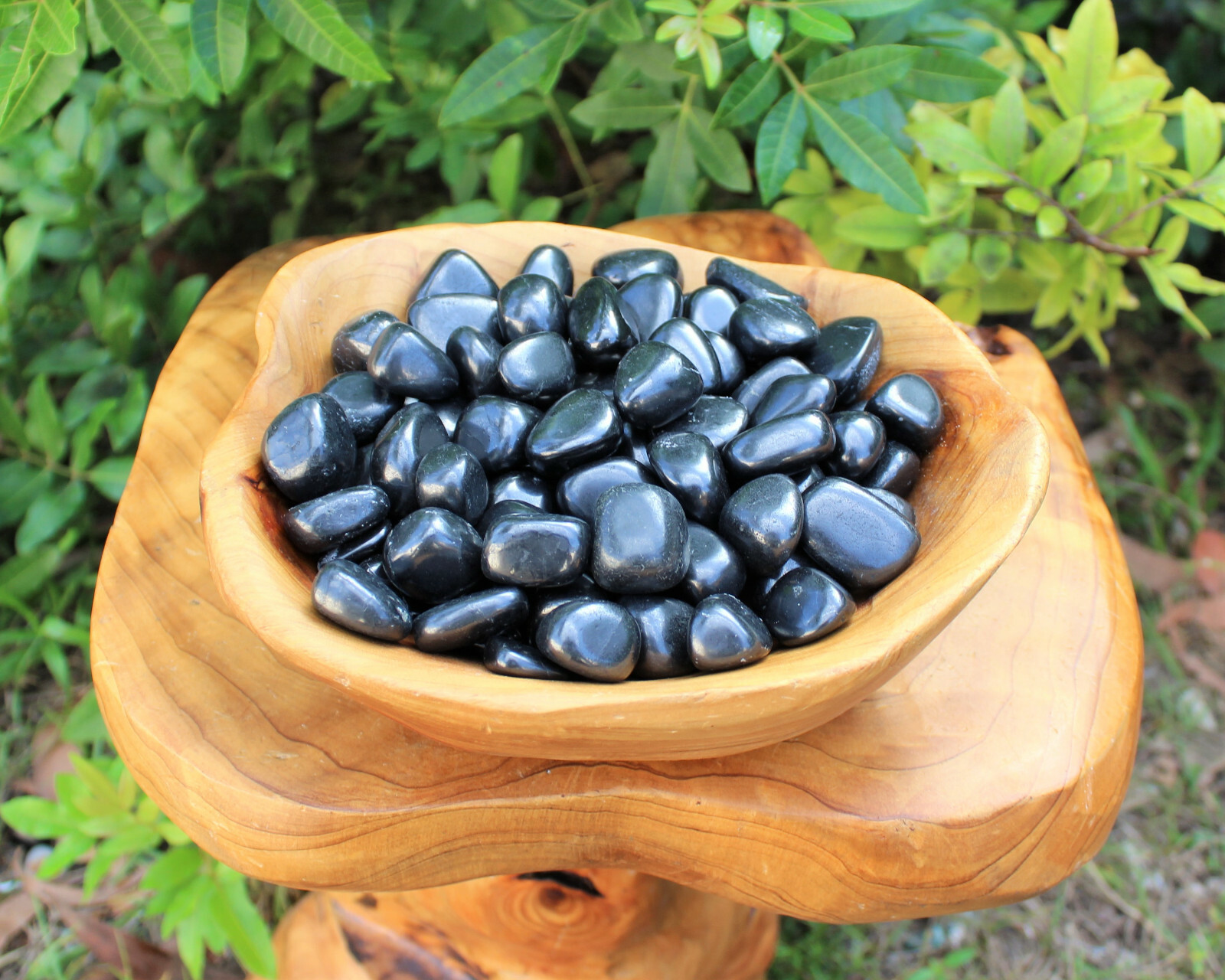 5 Shungite Specimen Tumbled Stones: Medium (Crystal Healing Gemstone Reiki)