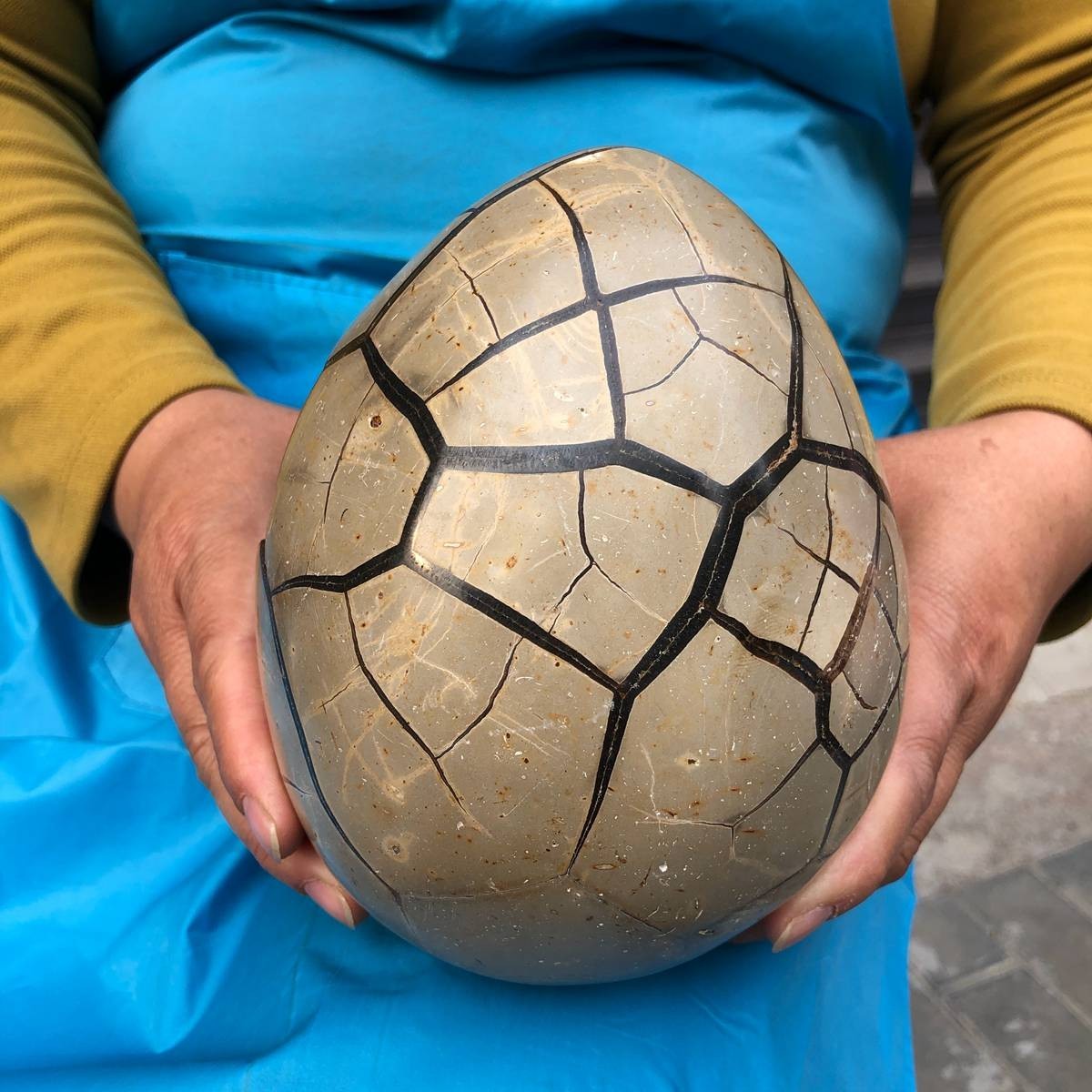 7.23 LB Natural Septarian Turtle Shell Geode Dragon Egg Crystal Healing 4351