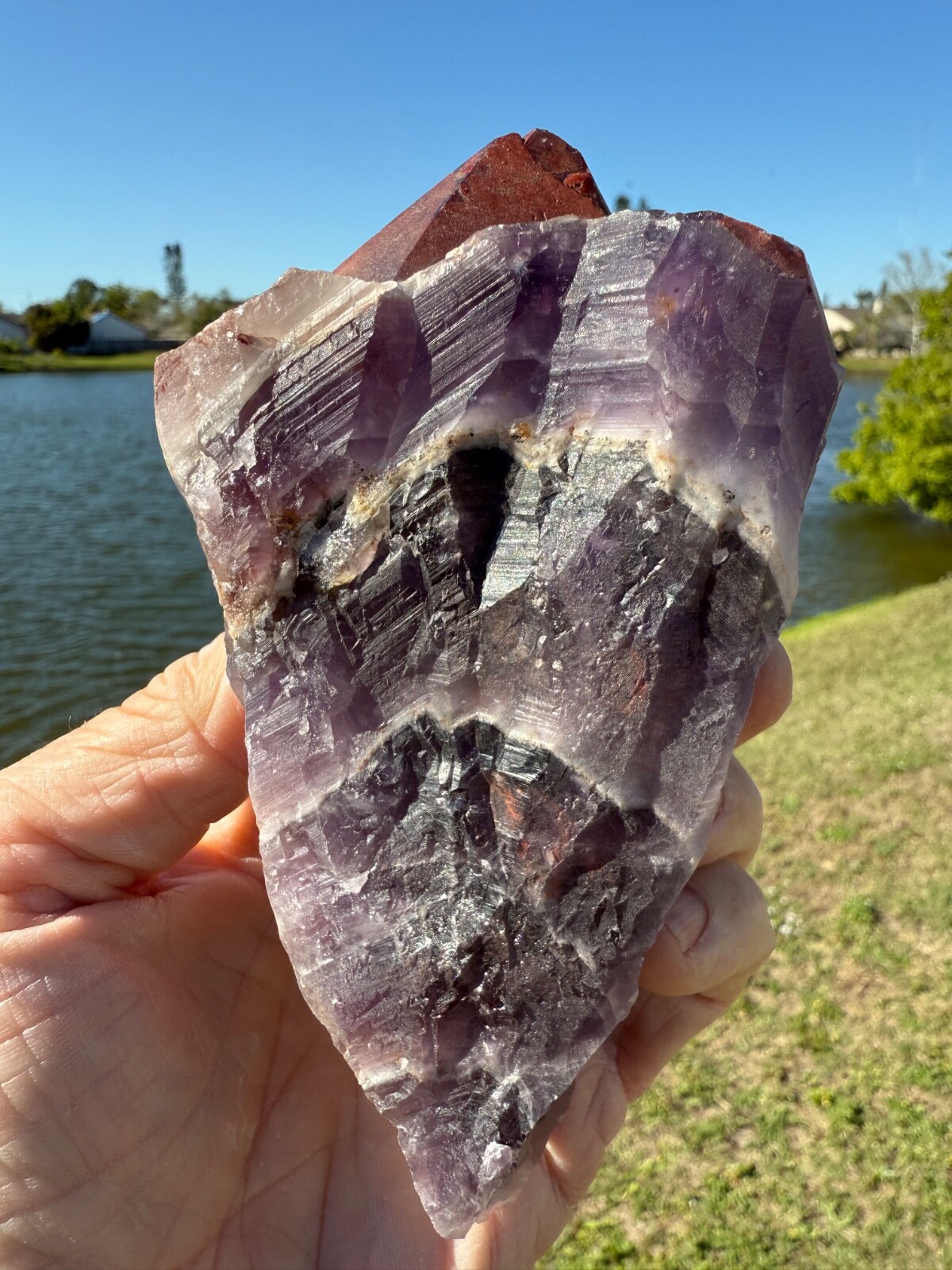 Unique Auralite 23 Crystal Rare chunk from Canada 551 grams 6″