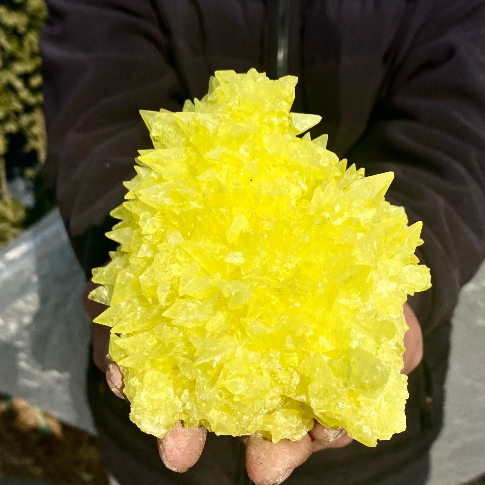 1.4LB Minerals ** LARGE NATIVE SULPHUR OnMATRIX Sicily- FREE.