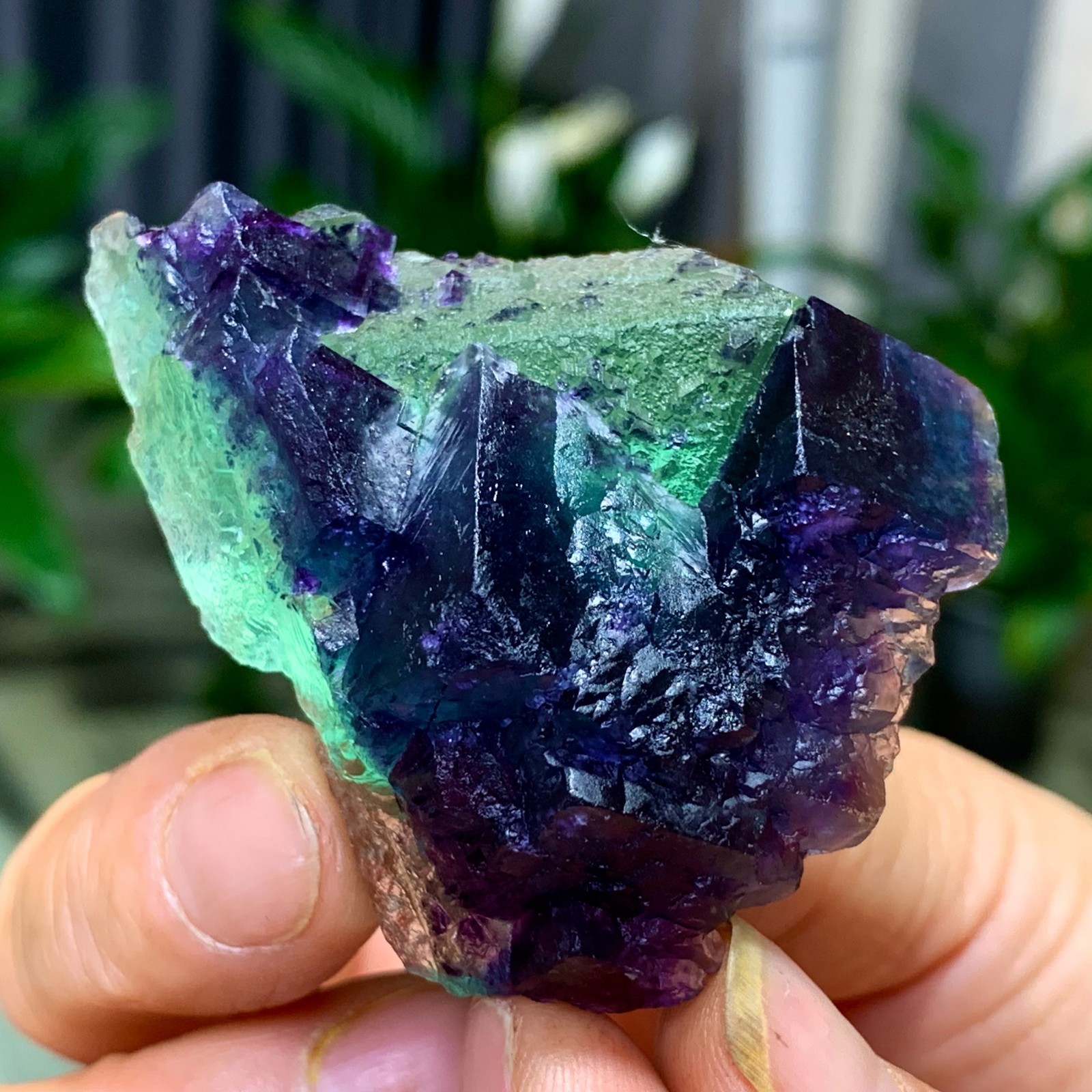 50G Rare transparent green purple cubic Zhejiang fluorite mineral sample
