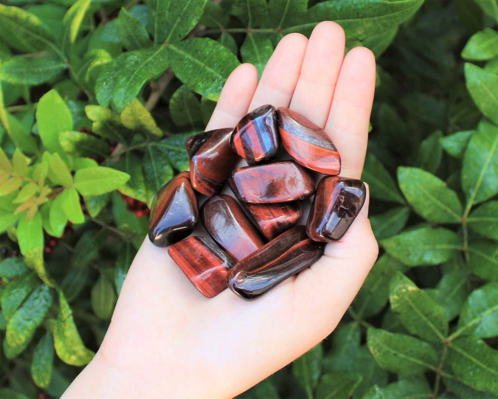 1/4 lb Bulk Lot Red Tiger Eye Tumbled Stones (Tumble Crystal Healing Reiki) 4 oz