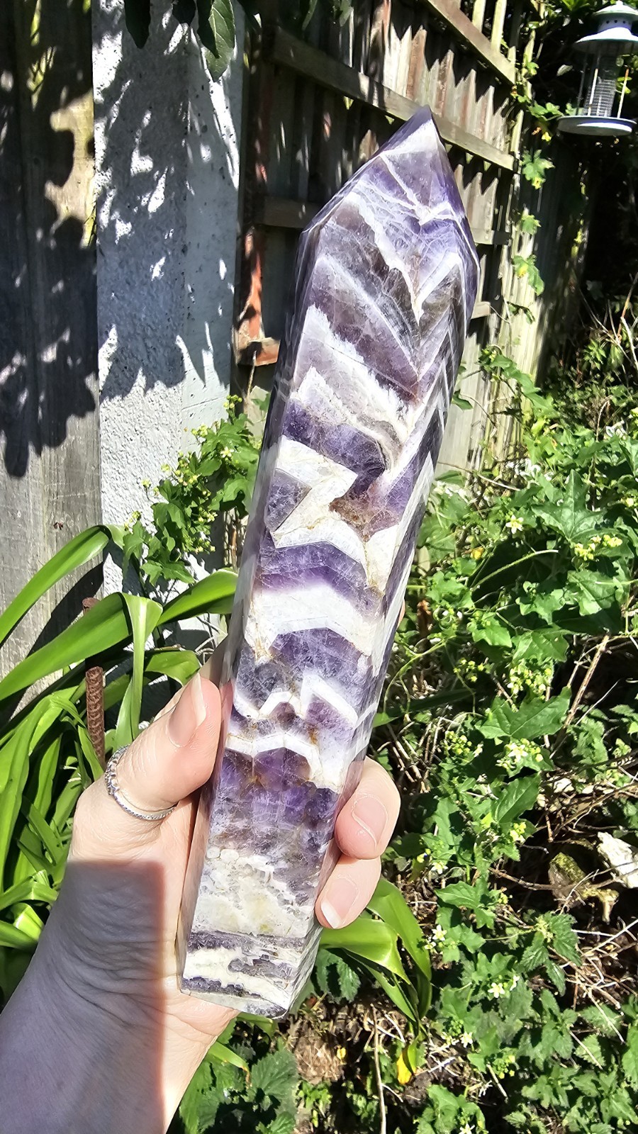 ✨️SALE✨️ X Large Chevron Amethyst Crystal Tower Point Healing 21.5cm 536g