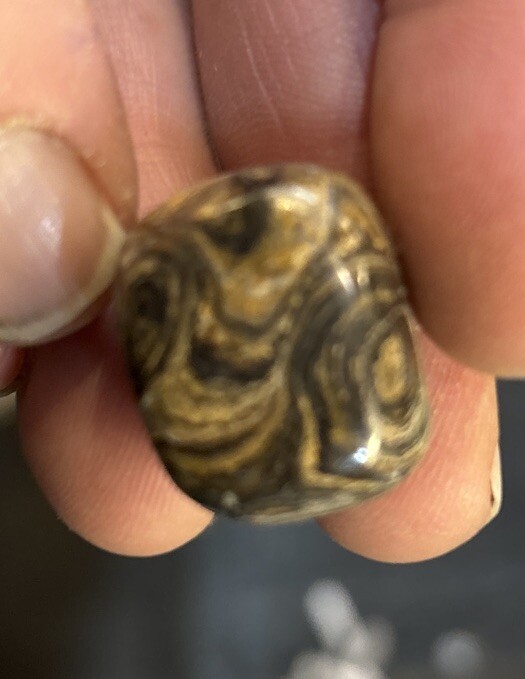 10 Pieces Of Tumbled A Grade Stromatolite Average Size 23 Grams