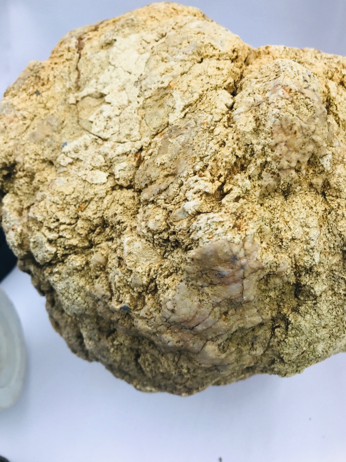 Rare Kentucky Geode Rattler 23.36 lb Unopened Natural Quartz Crack Your Own