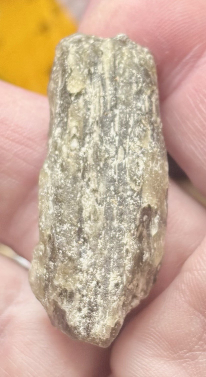 Darwinite Australian Moldavite FOSSIL INCLUSION meteorite crystal spirit energy