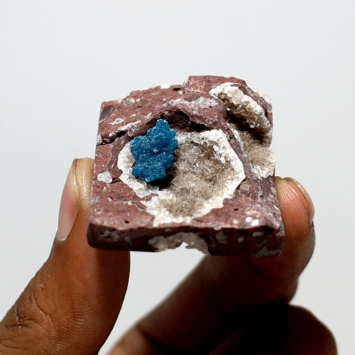 Cavansite on Apophyllite Matrix— Electric Blue Crystal— Natural Display Specimen