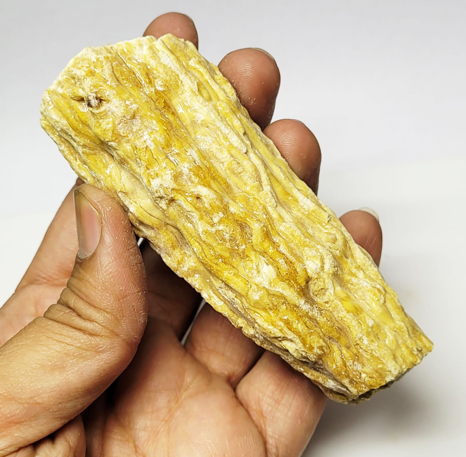 297 Ct Genuine Natural Rare Baltic Amber Rough Specimen Crystal Amber Rough