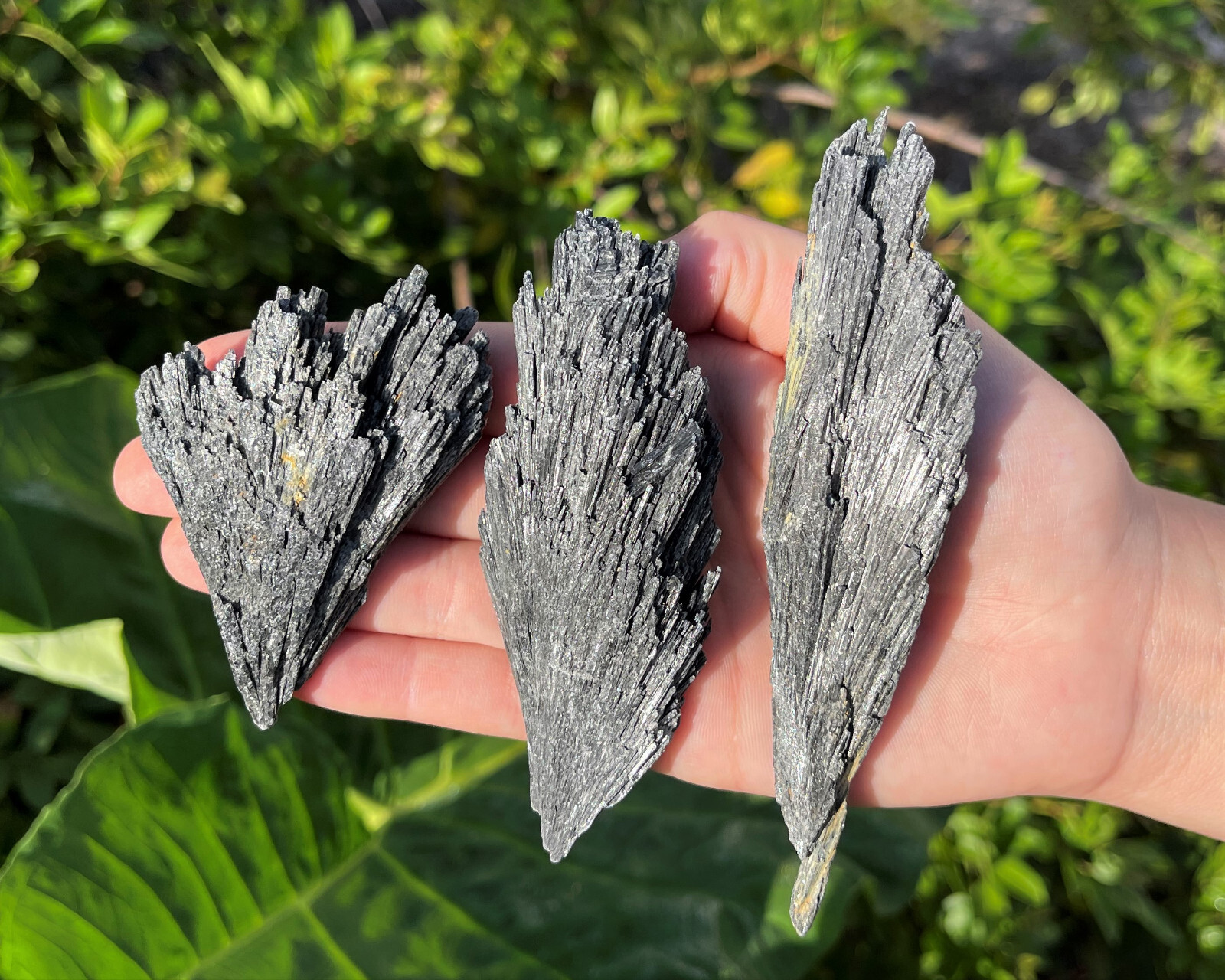 LARGE Natural Black Kyanite Blades – Choose Size! (Kyanite Crystal, Kyanite Fan)