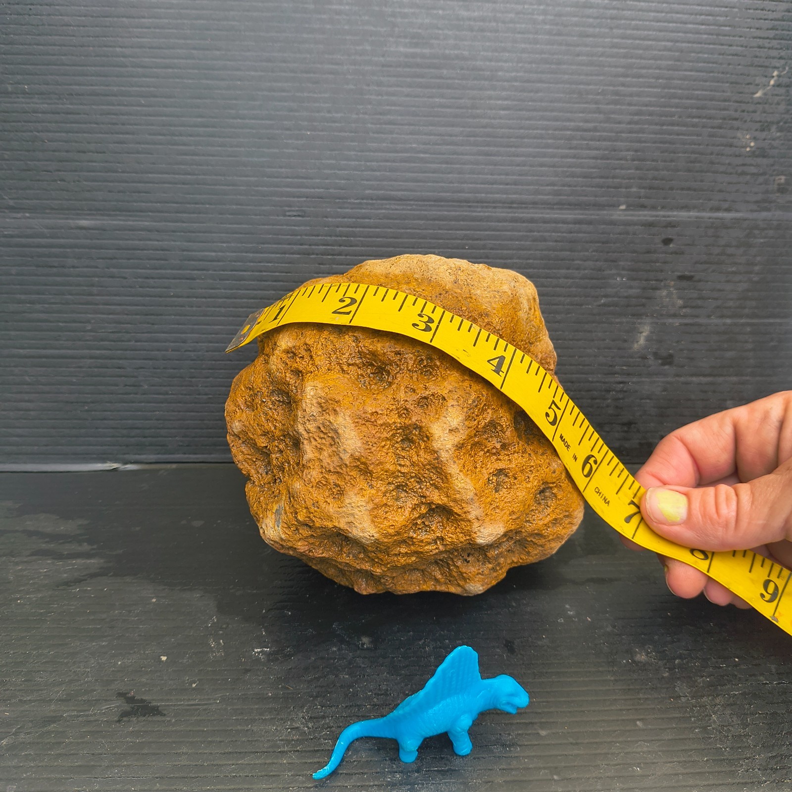Unopened Natural Kentucky Geode 4.88 lb 6″ Exact Specimen