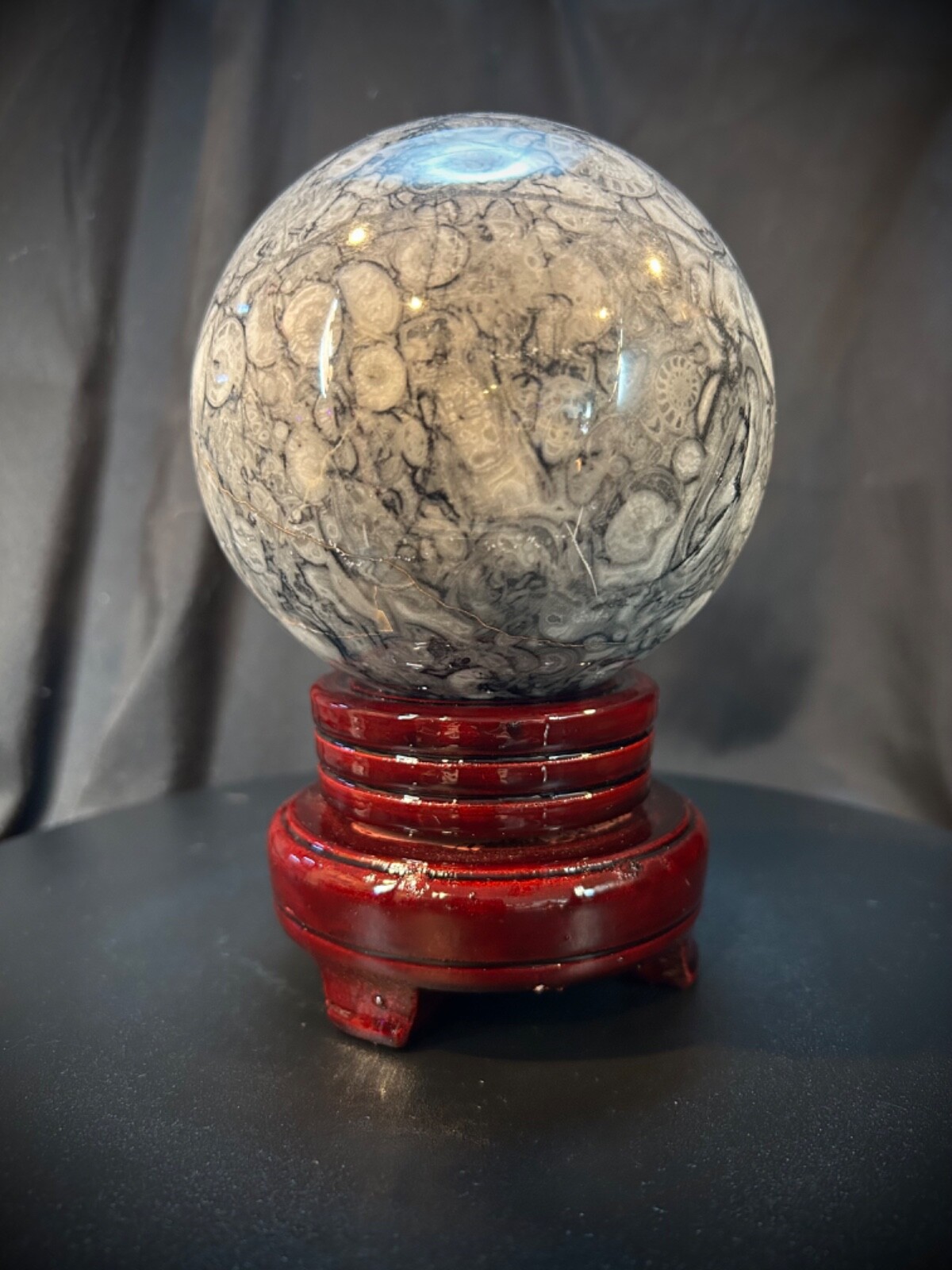 4.25″ Large Orthoceras Fossil Sphere With Wood Stand 4lb 3.3oz