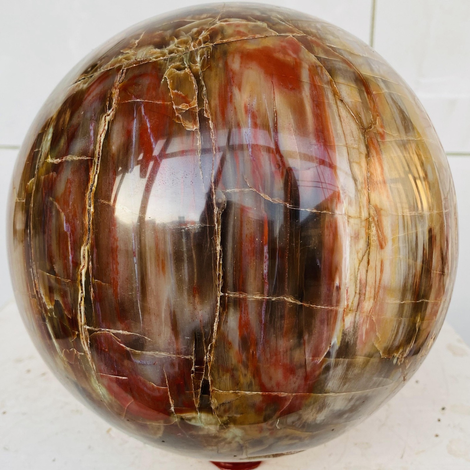 Natural Petrified Wood Sphere Orb Quartz Crystal Ball Fossil Mineral 6320g