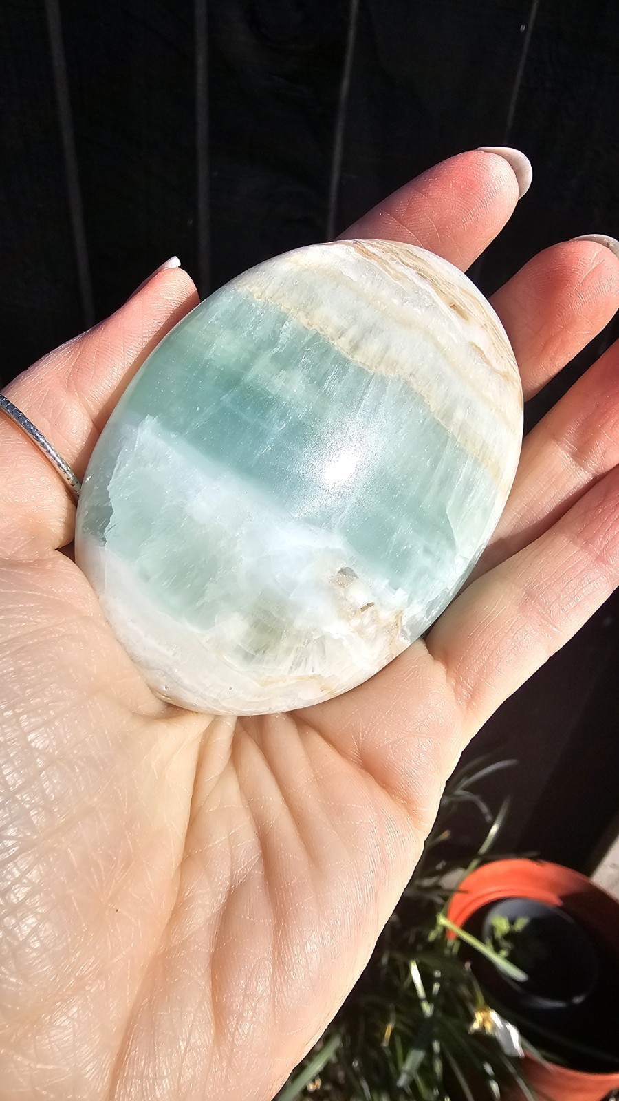 large Caribbean calcite Palm Palmstone 185g 7.7cm beach calming carribean