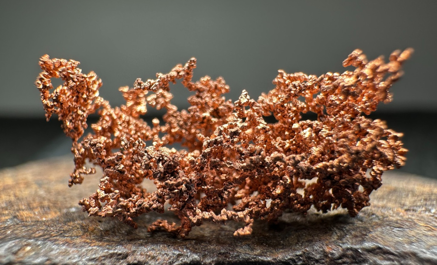 ➤ 7/8″ ARBORESCENT COPPER CRYSTALS – White Pine Mine UP Michigan VIDEO➤1138