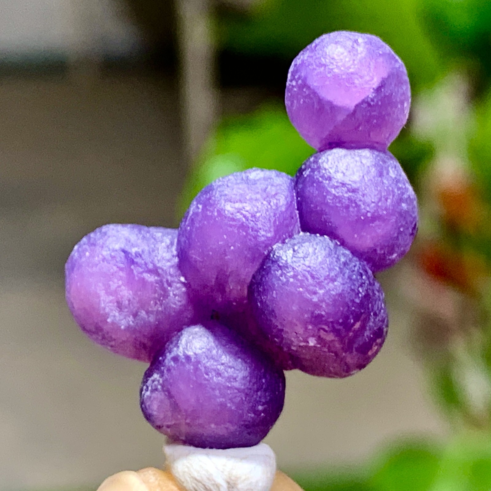 5G Natural purple grape agate quartz crystal granular mineral specimen