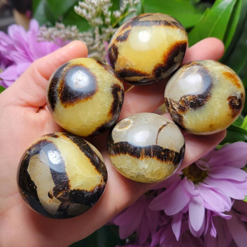5PCS 3-4cm Palm Stone Pocket Stone Healing Crystal Mineral Rock Collection