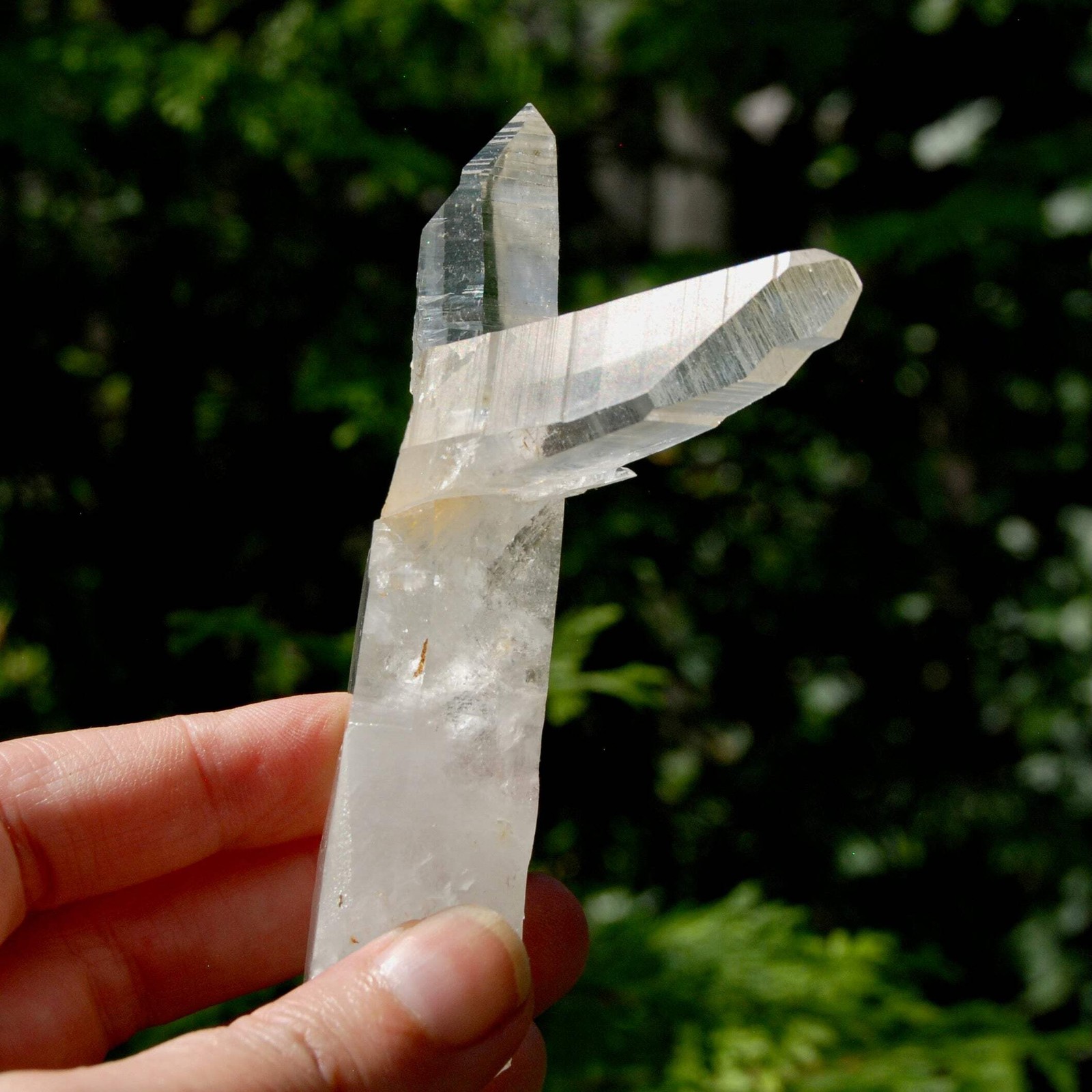 Lemurian Quartz Crystal Starbrary – 4in 106g Tantric Twin Flame Record Keeper, C