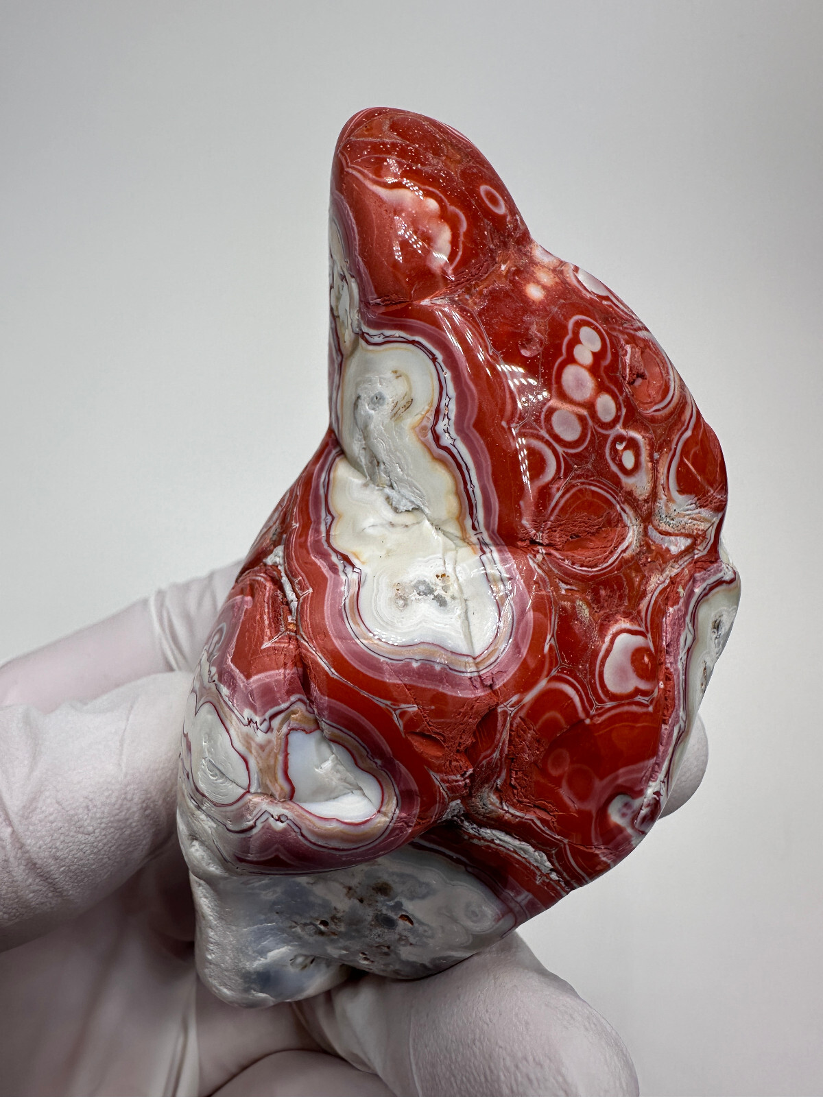 RARE Large Tumbled Kentucky Agate Palm Stone from Estill County, Kentucky