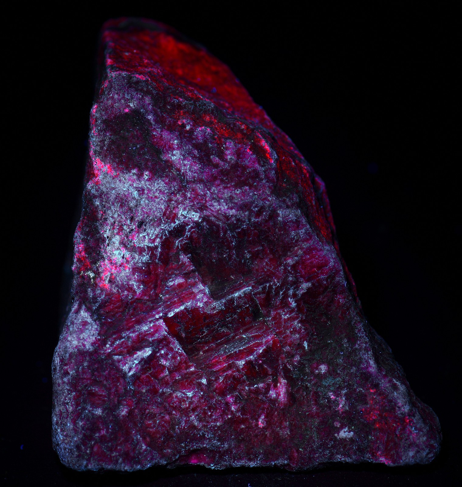 Ruby with large Kyanite crystals, UV. Mysore, Kamataka, India. 720 grams.