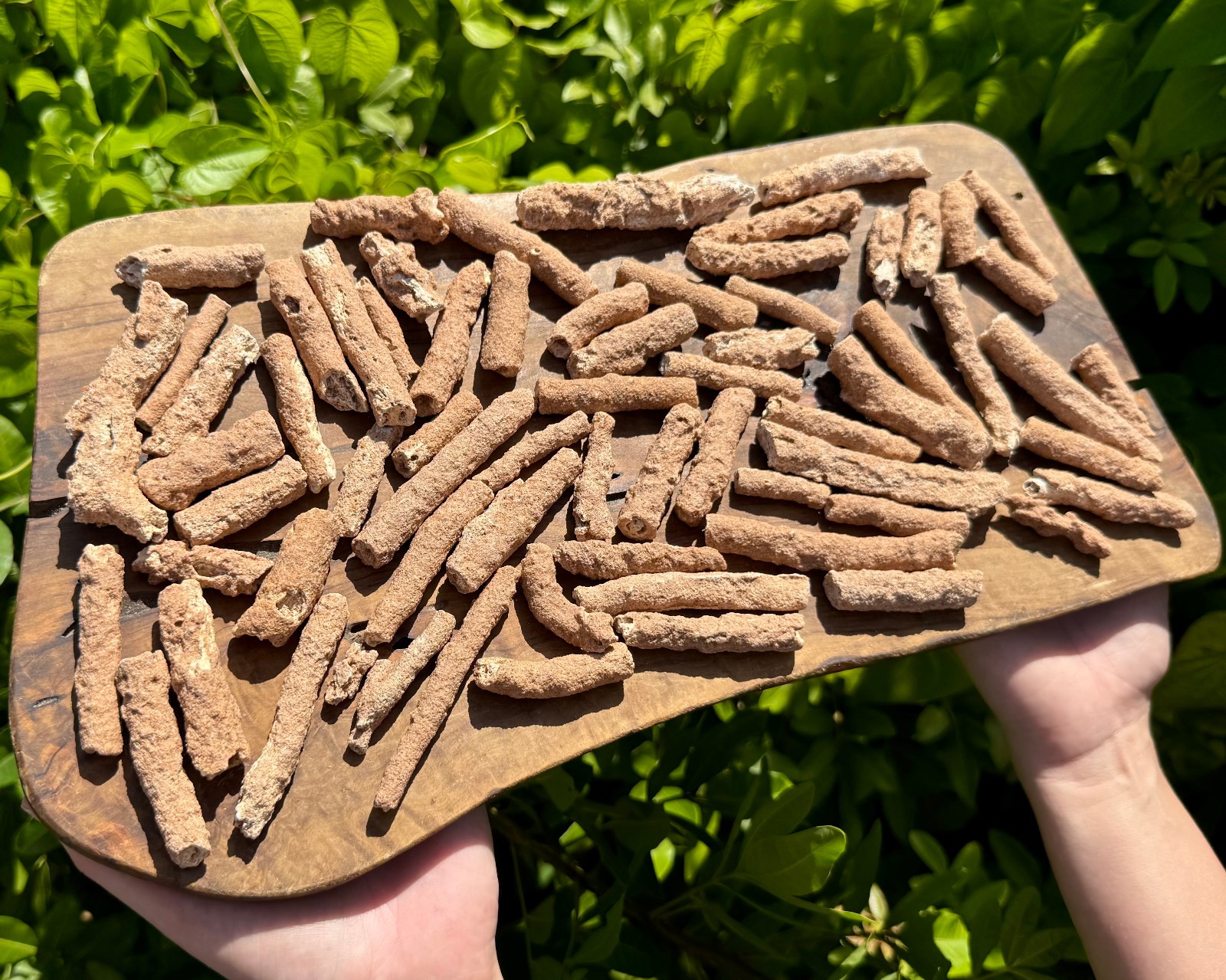 RARE Fulgurite Crystals Collection Box – Natural Lightning Formed Raw Fulgurite
