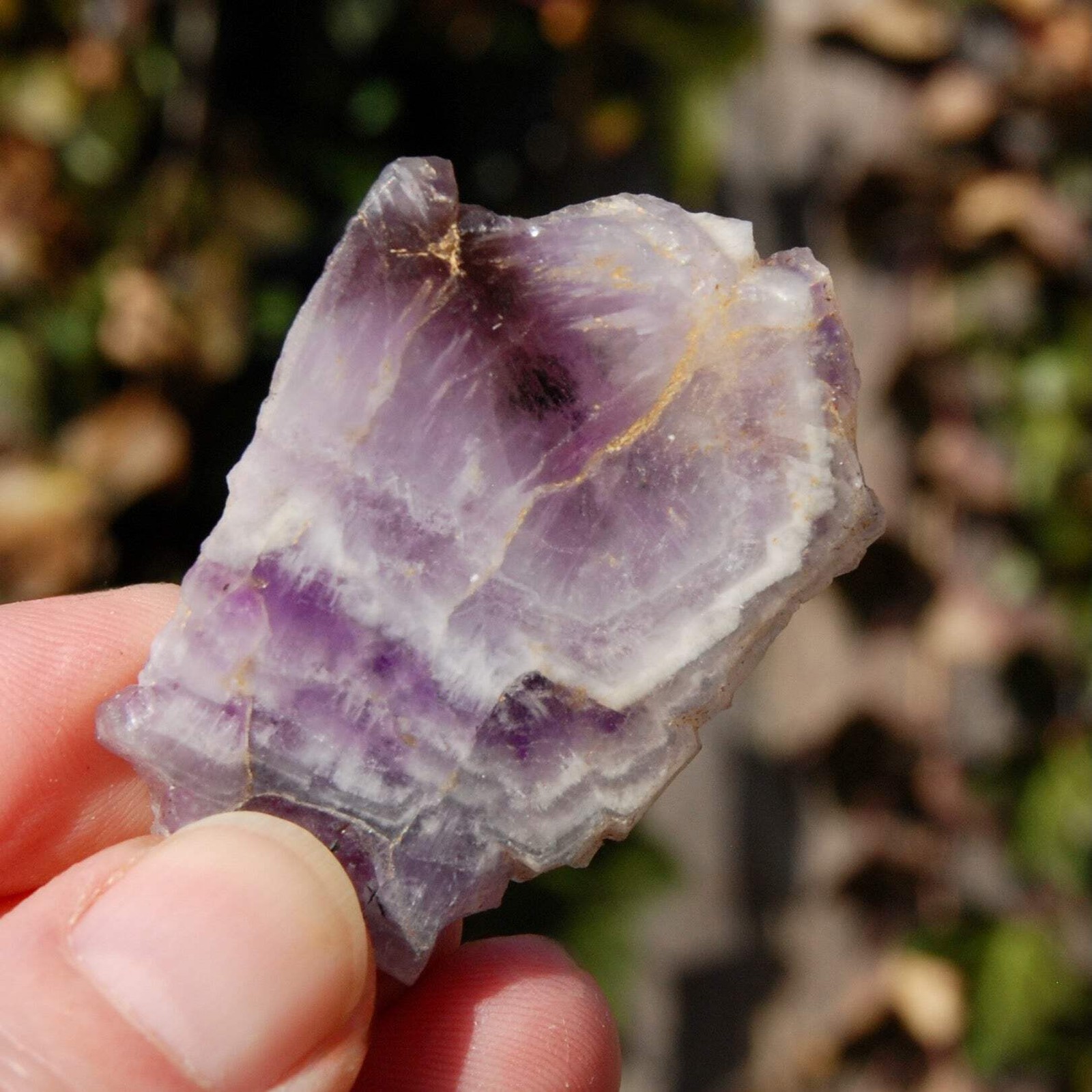 1.75″ Chevron Amethyst Trapiche Quartz Crystal Slice, Zambia ca13