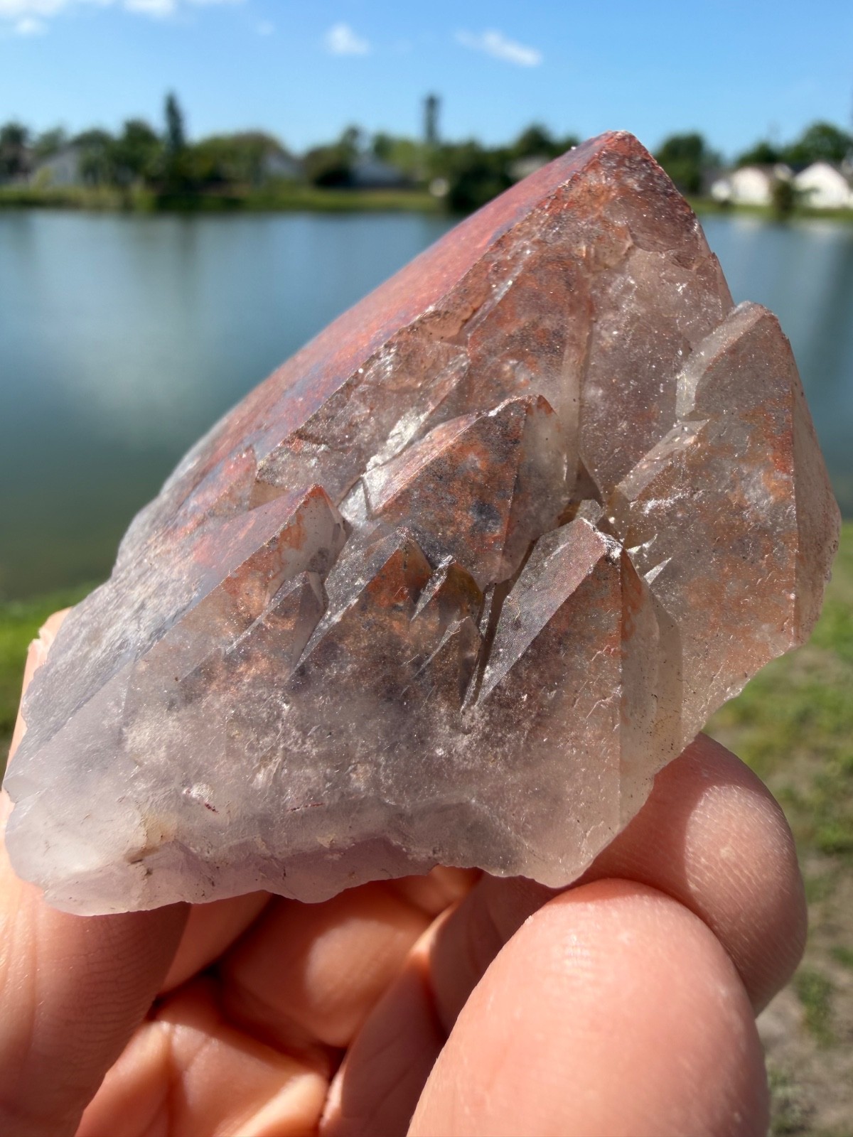 Auralite 23 Crystal Multi record keepers and Phantom from Canada 106 grams 2.25″