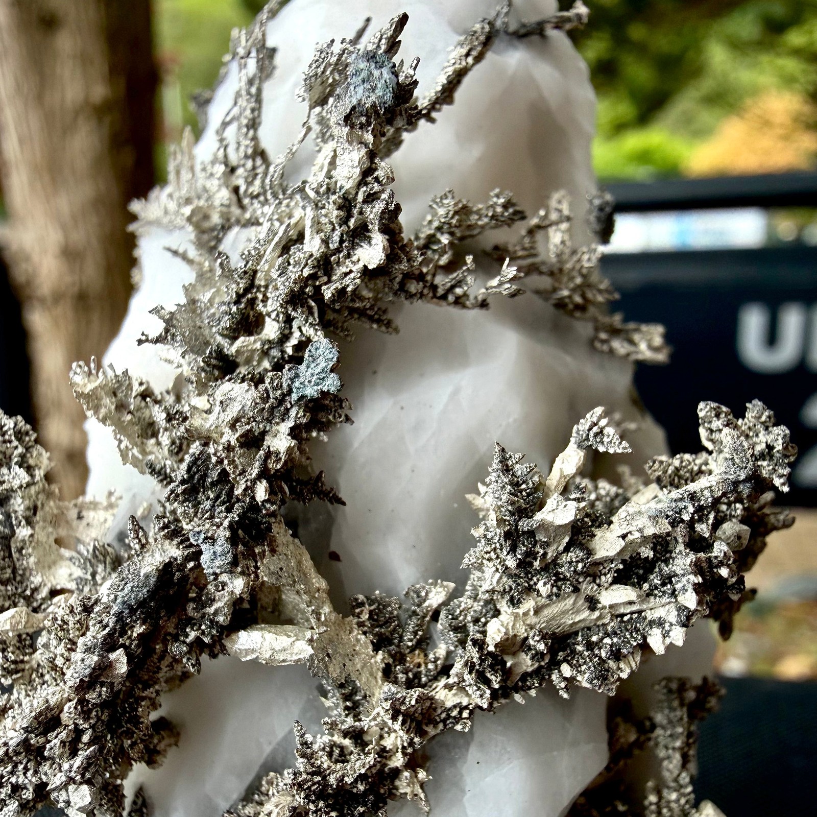 Natural Native Silver on Calcite Matrix | Collectors Mineral Specimen (B2 #2)