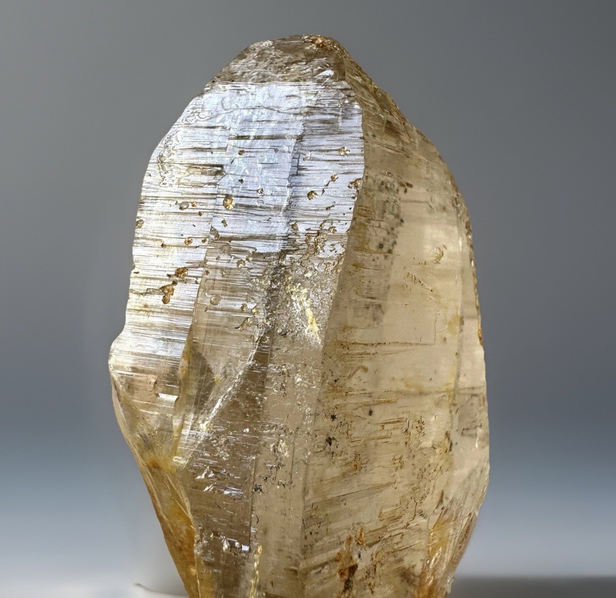 “Golden Comet” Ganesh Himalayan Quartz Secondary Growth Iron Oxide Nepal Crystal