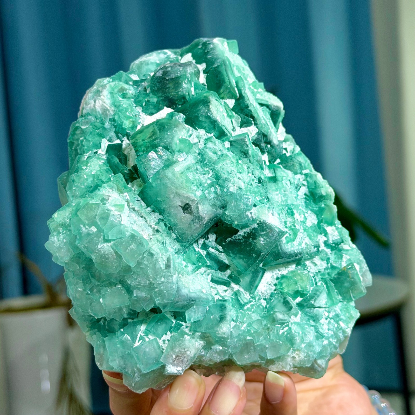 2.22LB Rare transparent green cubic fluorite mineral crystal sample/China