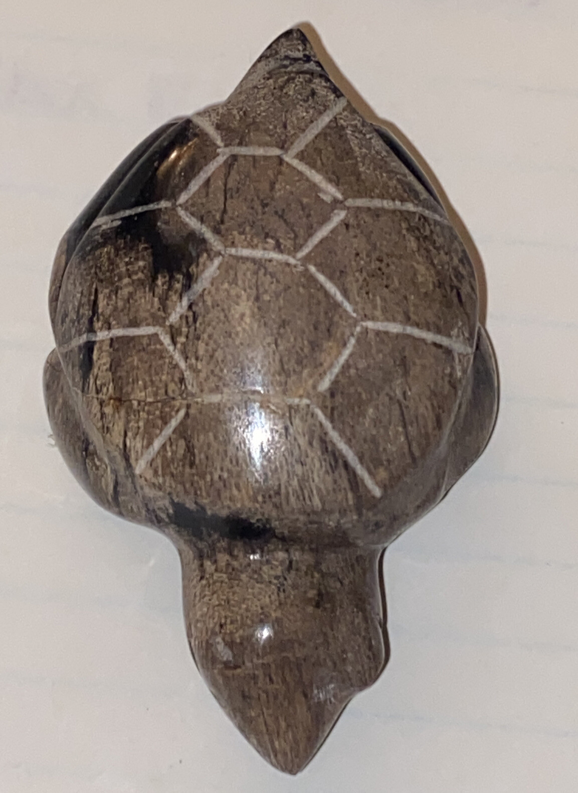 Carved Turtle Jasper Stone Crystal Black & Brown 2.75”L x 1.75” W x 1” H