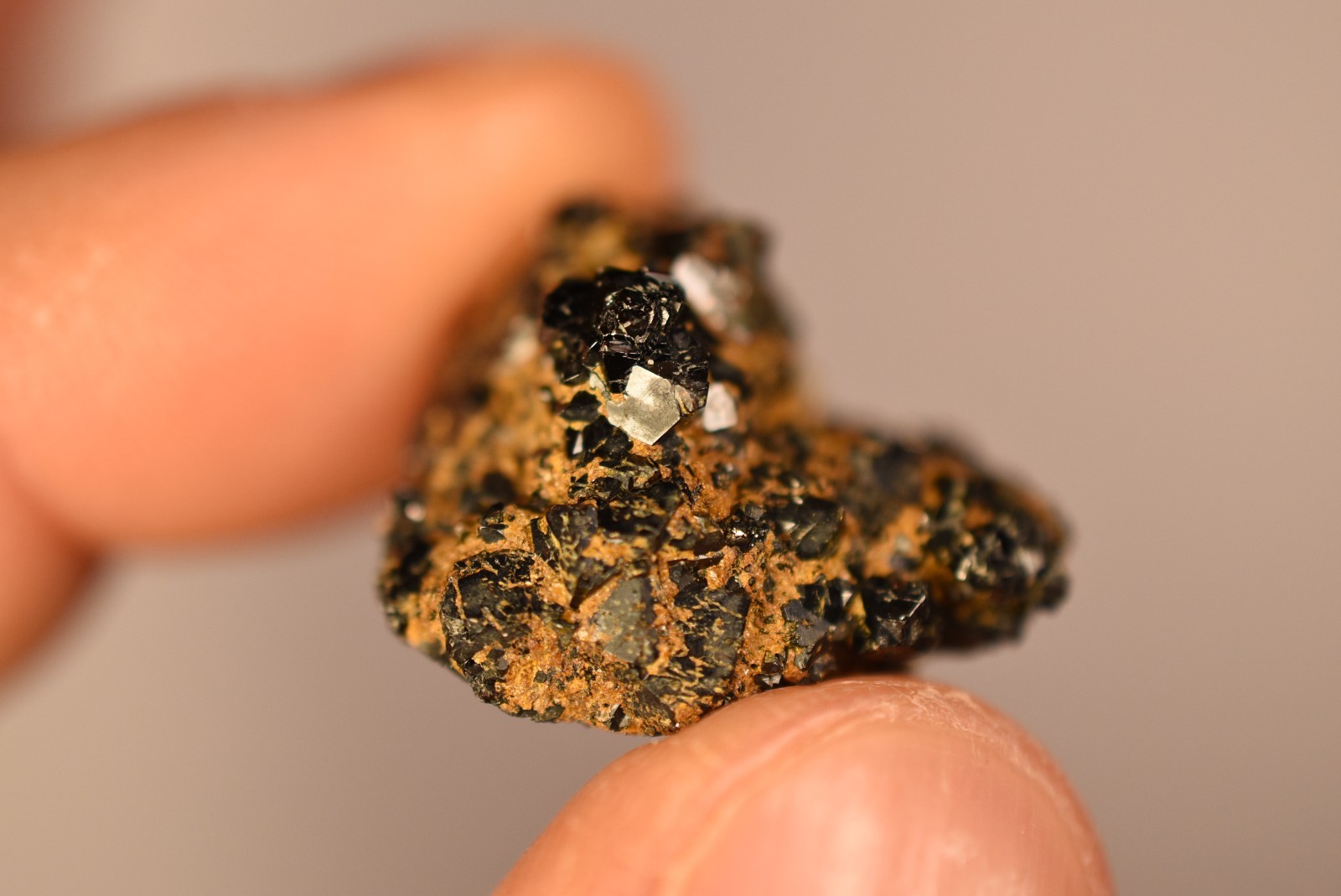 *AUSTRALIAN* CASSITERITE Specimen 2.3cm 14.6g Natural Tin Crystal, Specimen Hill